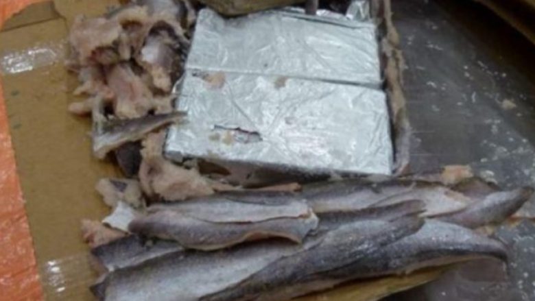 Një ton kokainë mes peshkut të ngrirë, dënohet shqiptari në Holandë