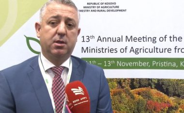 Hoxha: Bujqësia dhe zhvillimi rural të jetë prioritet i Qeverisë së ardhshme