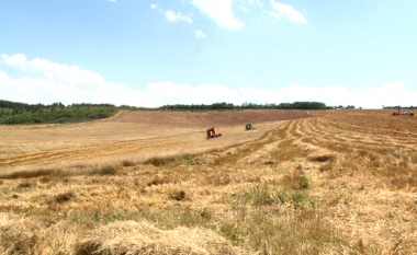 Ukraina, “shporta e bukës” e Evropës: Si po i godet lufta fermerët ukrainas dhe sa po kërcënohen furnizimet globale ushqimore?