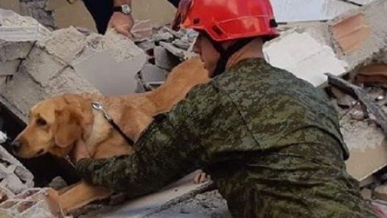 Njihuni me heroin e veçantë, qeni i Ushtrisë së Kosovës deri tani ka shpëtuar tre persona