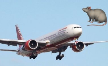 Një fluturim i Air India u vonua gati 12 orë, pasi një mi u vu re në kabinë