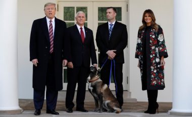 Trump prezanton “mysafirin e veçantë” në Shtëpinë e Bardhë, qenin hero që ndihmoi në kapjen e Abu Bakr al-Bagdadit