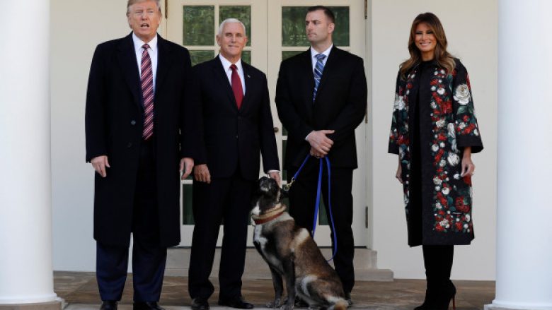 Trump prezanton “mysafirin e veçantë” në Shtëpinë e Bardhë, qenin hero që ndihmoi në kapjen e Abu Bakr al-Bagdadit