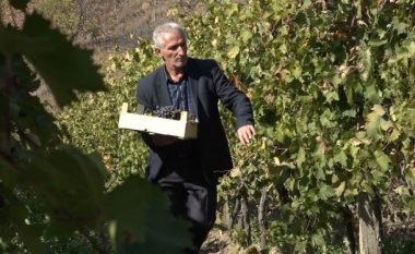 Vreshtari nga Rahoveci detyrohet të shes rrushin në Mal të Zi, shkak çmimi i ulët në vend