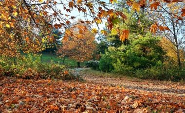 Moti sot, vranësira dhe diell