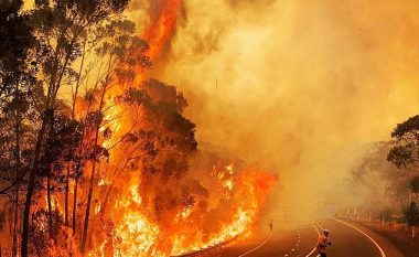 Mrekullia e Krishtlindjes, shiu iu del në ndihmë zjarrfikësve vullnetarë për të shuar mega zjarret në Australi