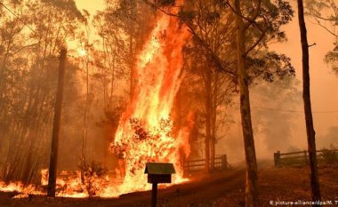 Zjarret australiane kërcënojnë furnizimin me ujë të Sidneit, ku temperaturat priten të rriten deri në 41 gradë