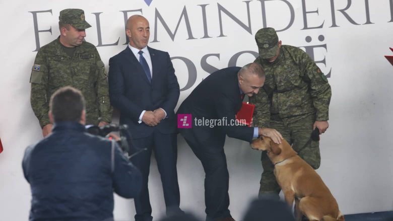 Ilir Meta përkëdhel qenin hero të FSK-së që shpëtoi jetë pas tërmetit