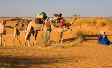 BE ia dhuron 250 deve Mauritanisë, për të luftuar xhihadistët – banorët tallen me vendimin