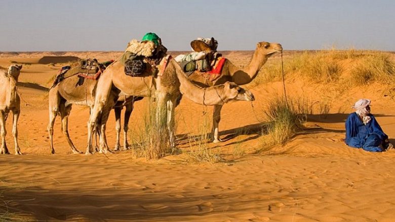 BE ia dhuron 250 deve Mauritanisë, për të luftuar xhihadistët – banorët tallen me vendimin