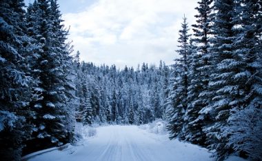 Mot i ftohtë, këto janë temperaturat për sot