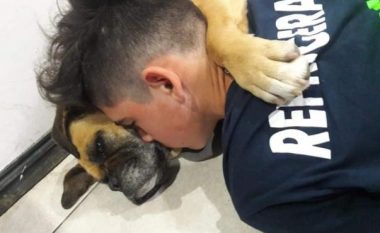 Adoleshenti përqafon qenin e tij, të cilit i ka pushuar zemra për shkak të fishekzjarreve