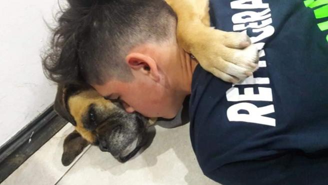 Adoleshenti përqafon qenin e tij, të cilit i ka pushuar zemra për shkak të fishekzjarreve