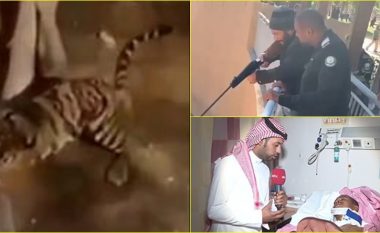 Burri ra në mbylljen e kafshëve, sulmohet nga tigri – pamjet e tmerrshme nga një kopsht zoologjik në Arabinë Saudite