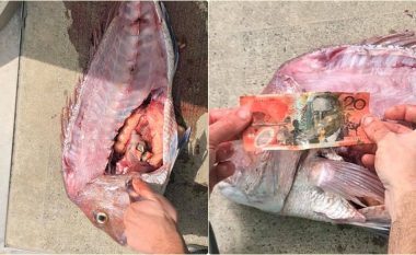 Peshkatari thotë se ka gjetur një kartëmonedhë 20 dollarëshe në barkun e një peshku