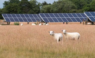 Gabimet e shpeshta të fermerëve për Energjinë Solare nëpërmjet granteve – Disa këshilla çka duhet te dijnë fermerët që kanë marrë grante për sisteme të energjisë solare?