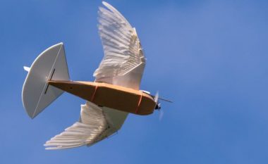 Zogu-robot me pupla të vërteta fluturon me sukses