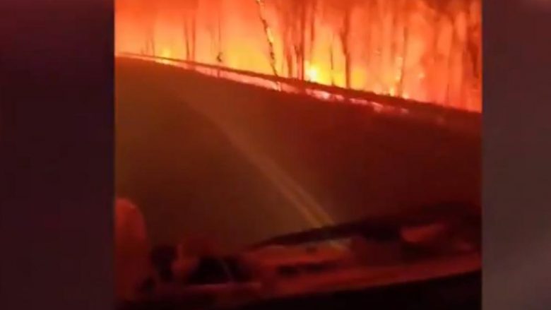 Pasojat e vatrave të zjarrit në Australi, pamje që e dëshmojnë këtë