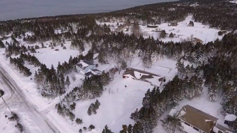 Reshje të mëdha të borës, kanadezët bllokohen nëpër shtëpi – detyrohen të gropojnë për të dalë jashtë