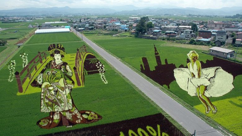 Fermerët japonezë krijojnë punime mbresëlënëse 3D në fushat e mbjella me oriz