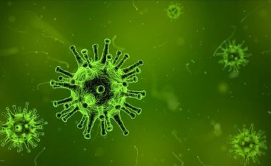 Kanada konfirmon rastin e parë me coronavirus