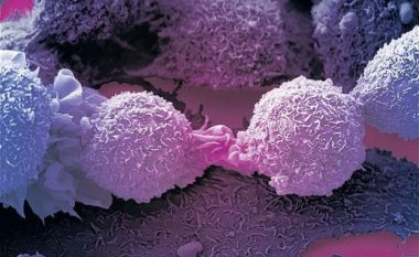Një lajm i mirë nga shëndetësia: Ka ndodhur një zbulim i ri në sistemin imunitar që “mund të trajtojë të gjitha kanceret”