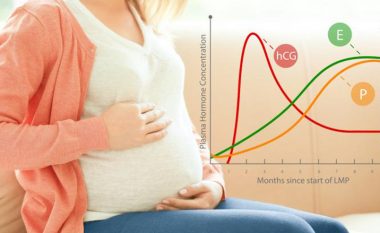 Çfarë duhet të dini për hCG-në, hormonin e shtatzënisë?