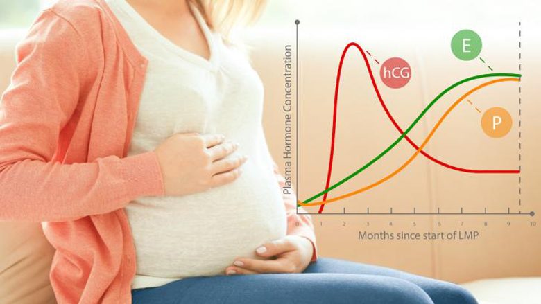 Çfarë duhet të dini për hCG-në, hormonin e shtatzënisë?
