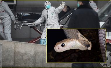 Gjarpërinjtë mund të jenë burimi i virusit vdekjeprurës kinez