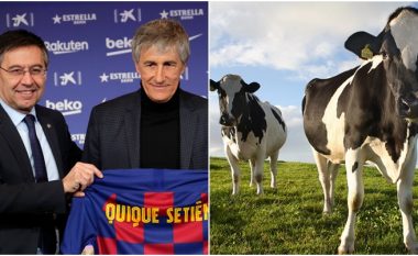 Deklarata e trajnerit të ri të Barcelonës që befasoi të gjithë: Dje isha duke u shëtitur afër lopëve në fshat, sot po i stërvit lojtarët më të mirë në botë