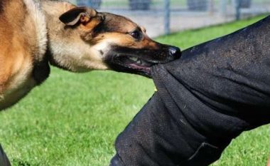 Qeni sulmon një femër në Gjakovë