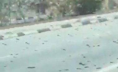 Miliona karkaleca “pushtojnë” Bahreinin, shoferët ndalin veturat për të “shijuar” pamjet e pazakonta