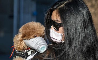Një qen infektohet me coronavirus në Hong Kong