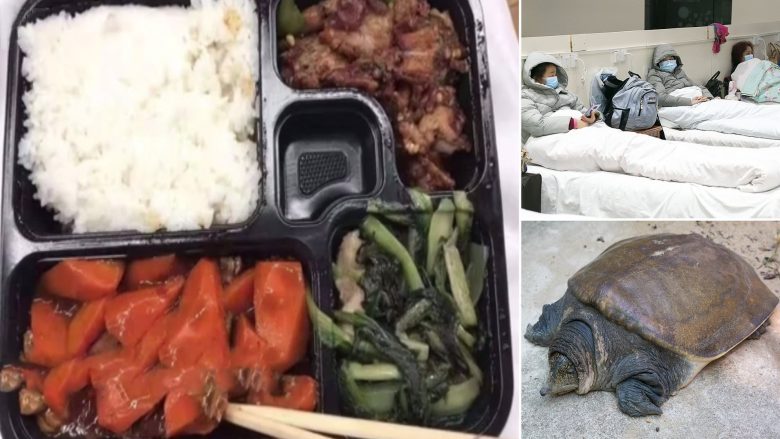Pacientëve në spitalin e Wuhan që janë të prekur nga coronavirusi u jepen breshka për ushqim