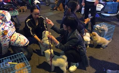 Kina urdhëron banorët t’i largojnë kafshët shtëpiake, nga frika se mund të bartin coronavirusin