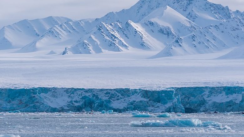 Ndryshimet klimatike kanë bërë që Arktiku të ngrohet dhe të bëhet i gjelbër, bimët dhe pemët po e mbushin hapësirën që dikur ishte e ngrirë