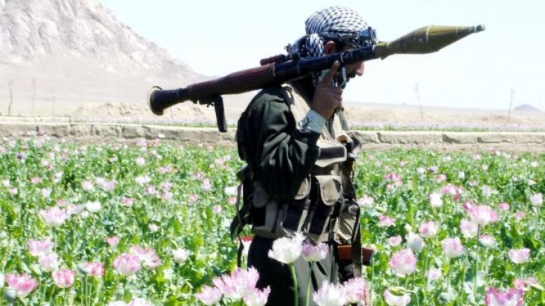 Lufta në Afganistan, amerikanët dhe talibanët afganë do të nënshkruajnë armëpushimin e pjesshëm