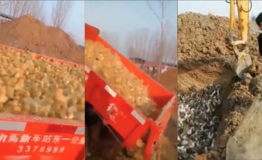 Kina ‘varros zogjtë e gjallë’ – qarkullojnë pamjet tmerruese, ndërsa gripi i shpendëve godet vendin