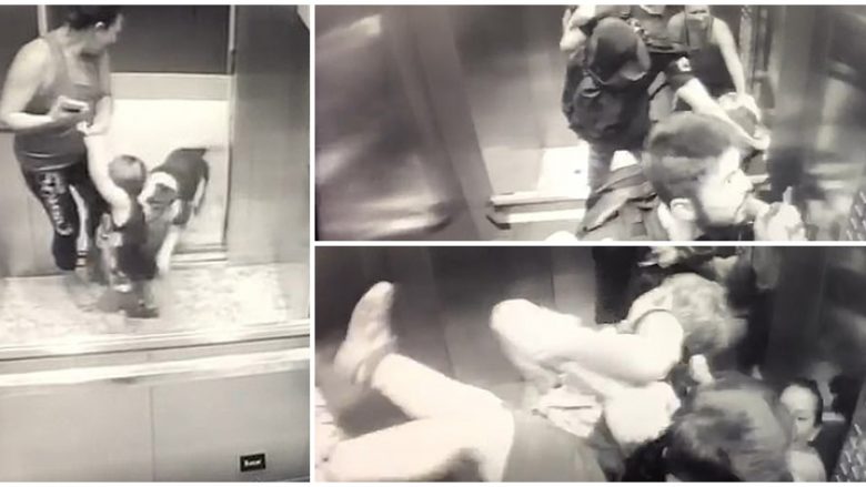 Vogëlushi futet në ashensor me kujdestaren, bulldogu e sulmon brutalisht – pronari i kafshës i del në ndihmë në sekondat e fundit