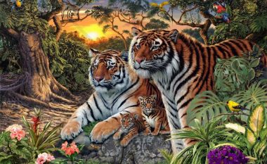 Një fotografi “ngacmuese e trurit”: Duket se janë vetëm katër, por aty ka më shumë tigra!