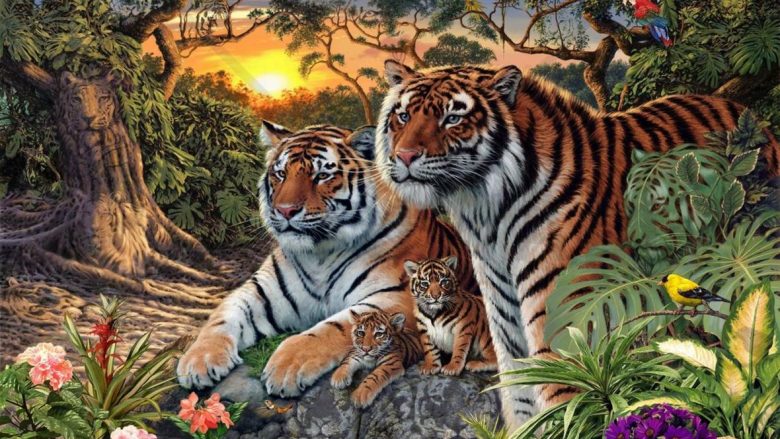 Një fotografi “ngacmuese e trurit”: Duket se janë vetëm katër, por aty ka më shumë tigra!