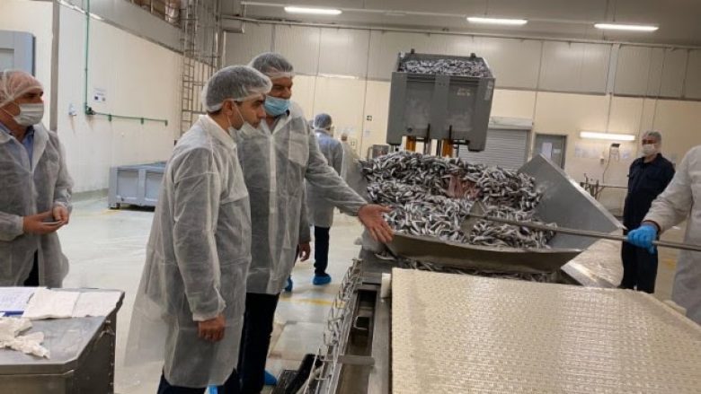 Në Vushtrri pritet të hapet fabrika e peshkut – do të punësohen mbi 200 punëtorë