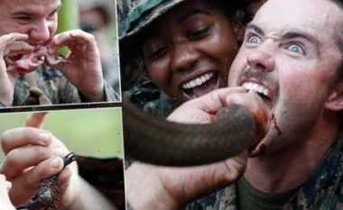 Pinë gjakun e kobrave, hanë akrepat dhe merimangat – pamje nga stërvitja e marinsave amerikanë