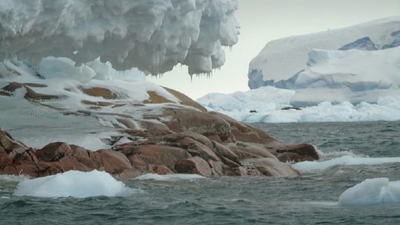 Shkrirja e akullit zbulon ishullin e panjohur në Antarktik