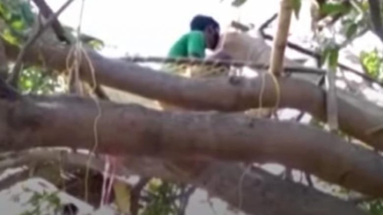 Si duket vetëizolimi në vendin me 1.3 miliard banorë, hindusët ndërtojnë shtëpiza druri në pemë në mungesë të dhomave personale