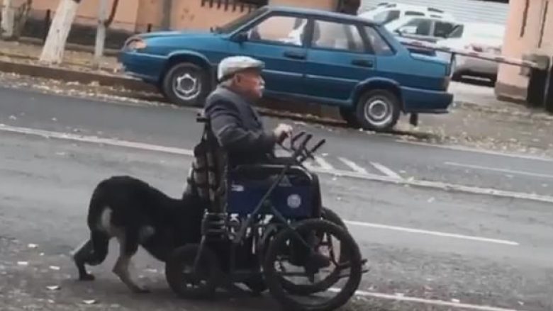Ndihmon pronarin e moshuar, qeni shtynë karrocën e burrit