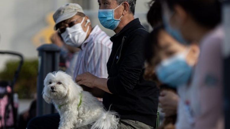 Hong Kongu paralajmëron banorët të shmangin puthjet ndaj kafshëve shtëpiake