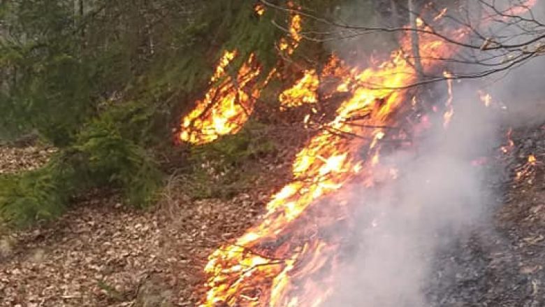 Në kohë pandemie i vënë zjarrin pyjeve, reagon kryetari i Deçanit