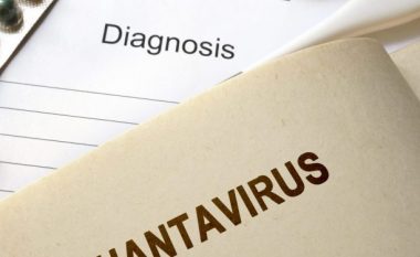 Çfarë është Hantavirusi, virusi që thuhet se u rishfaq në Kinë?