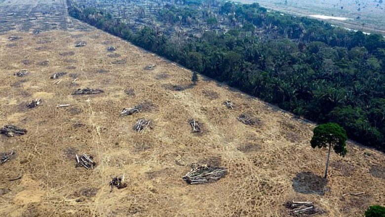 Shkalla e shpyllëzimit të Amazonës gjatë dy muajve të parë të këtij viti, ishte për 70 për qind më e lartë se gjatë periudhës së njëjtë të viti të kaluar